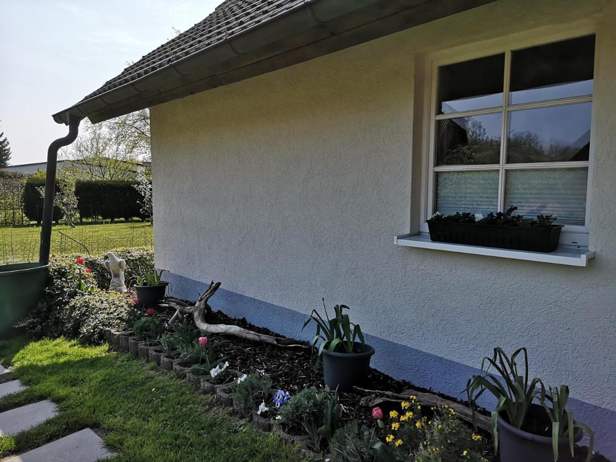 Boddenhus Auf Ruegen - Ferienwohnungen Und Pension Rappin Zewnętrze zdjęcie