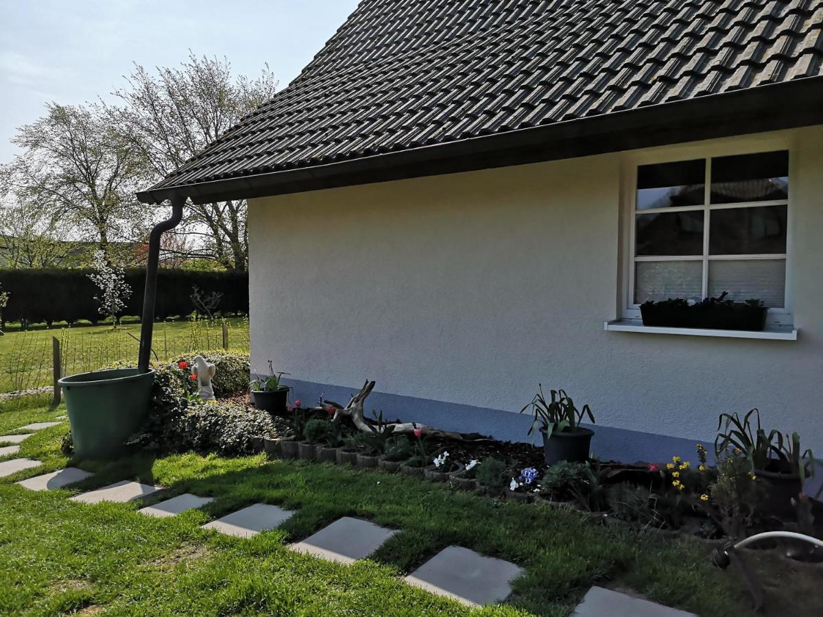 Boddenhus Auf Ruegen - Ferienwohnungen Und Pension Rappin Zewnętrze zdjęcie