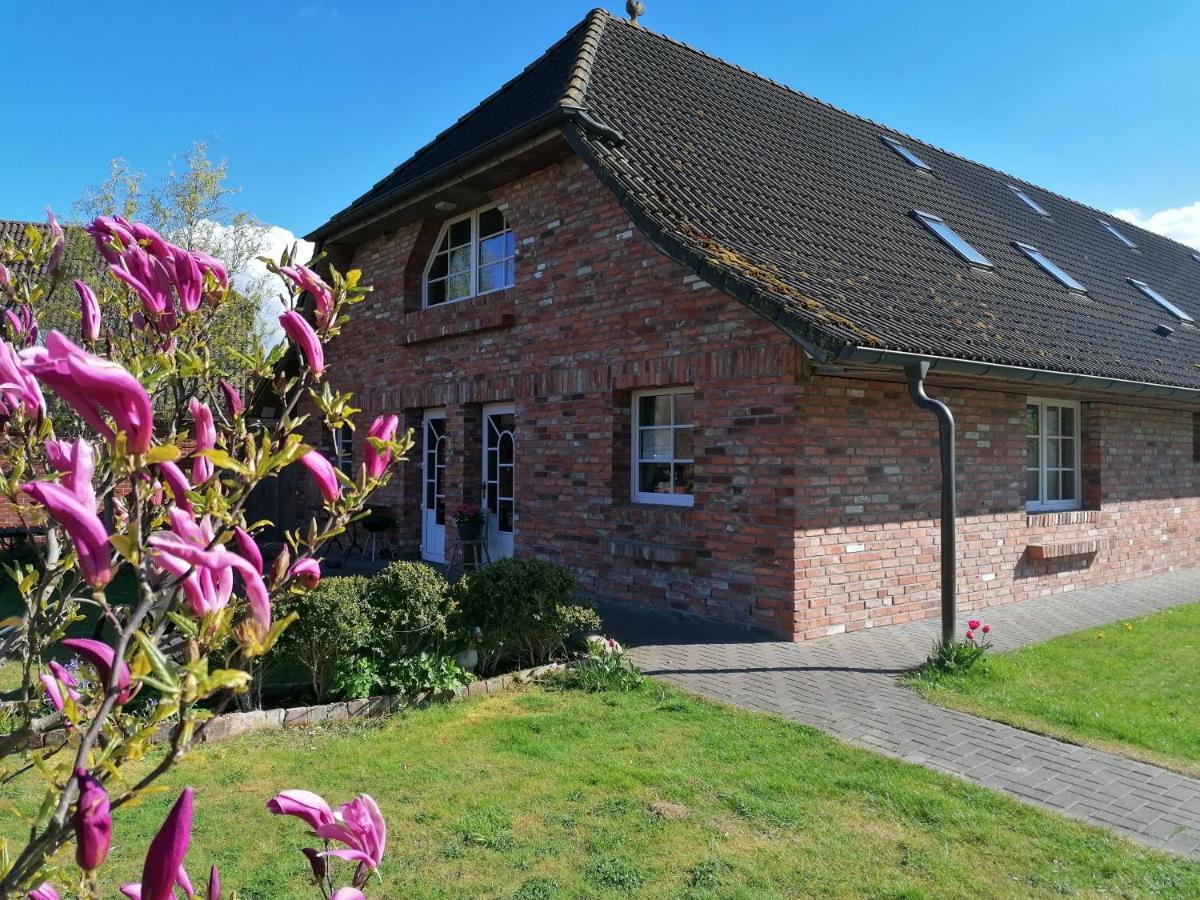 Boddenhus Auf Ruegen - Ferienwohnungen Und Pension Rappin Zewnętrze zdjęcie