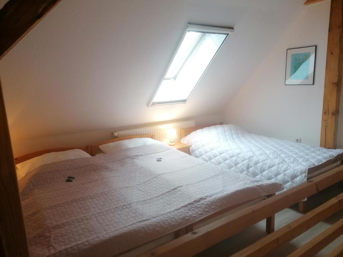 Boddenhus Auf Ruegen - Ferienwohnungen Und Pension Rappin Zewnętrze zdjęcie